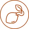 beneficio 03 1 2.jpg beneficio 03 1 2.jpg