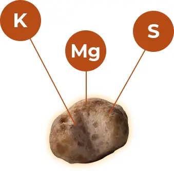 granulo kmag 2.jpg granulo kmag 2.jpg