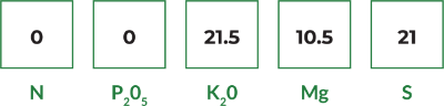 k mag premium 400x