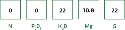 k mag standard 400x