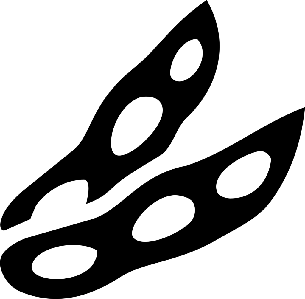 soybean