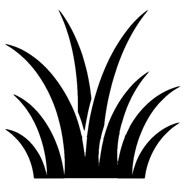 plant-black Turfgrass